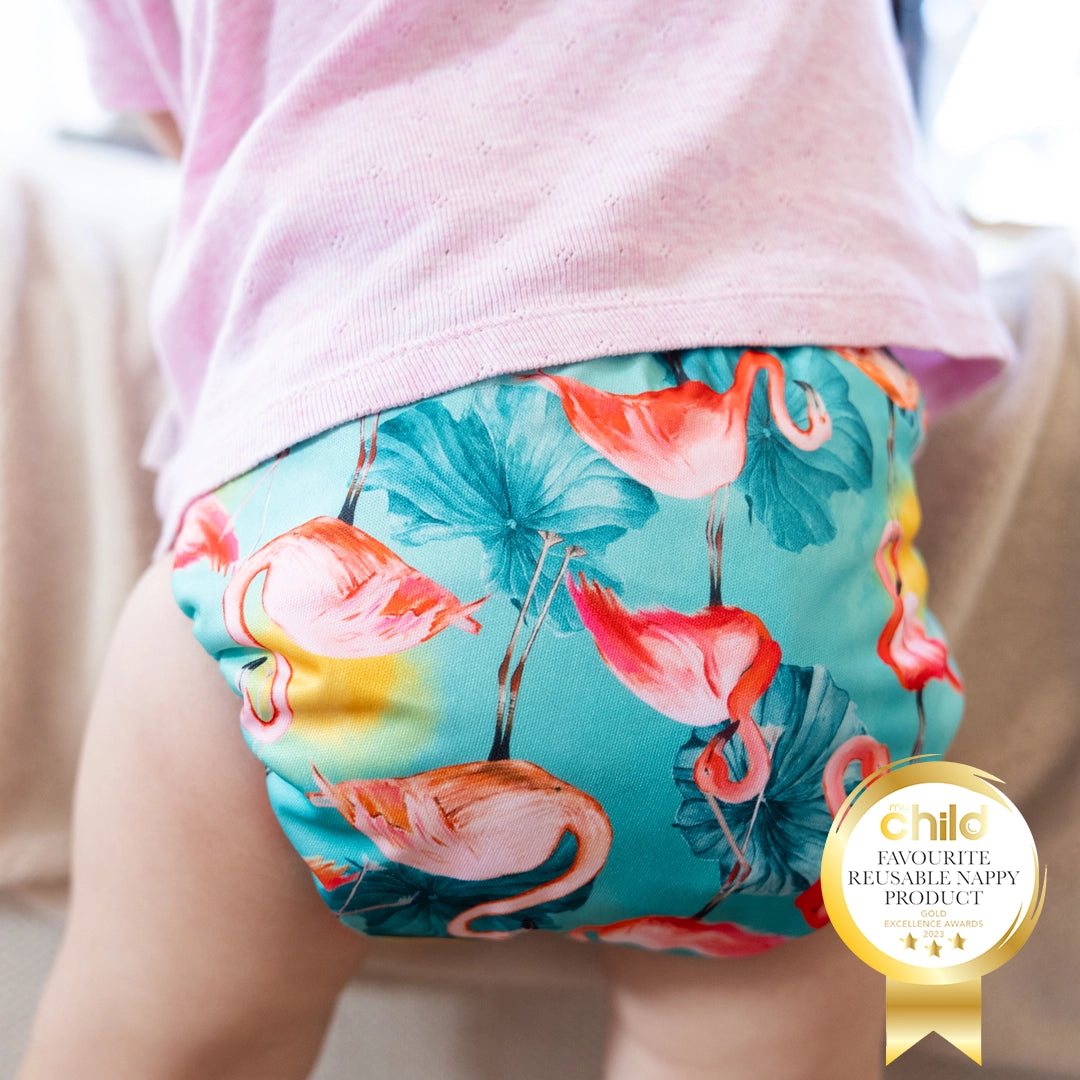 Pink Plumes Reusable Cloth Nappy