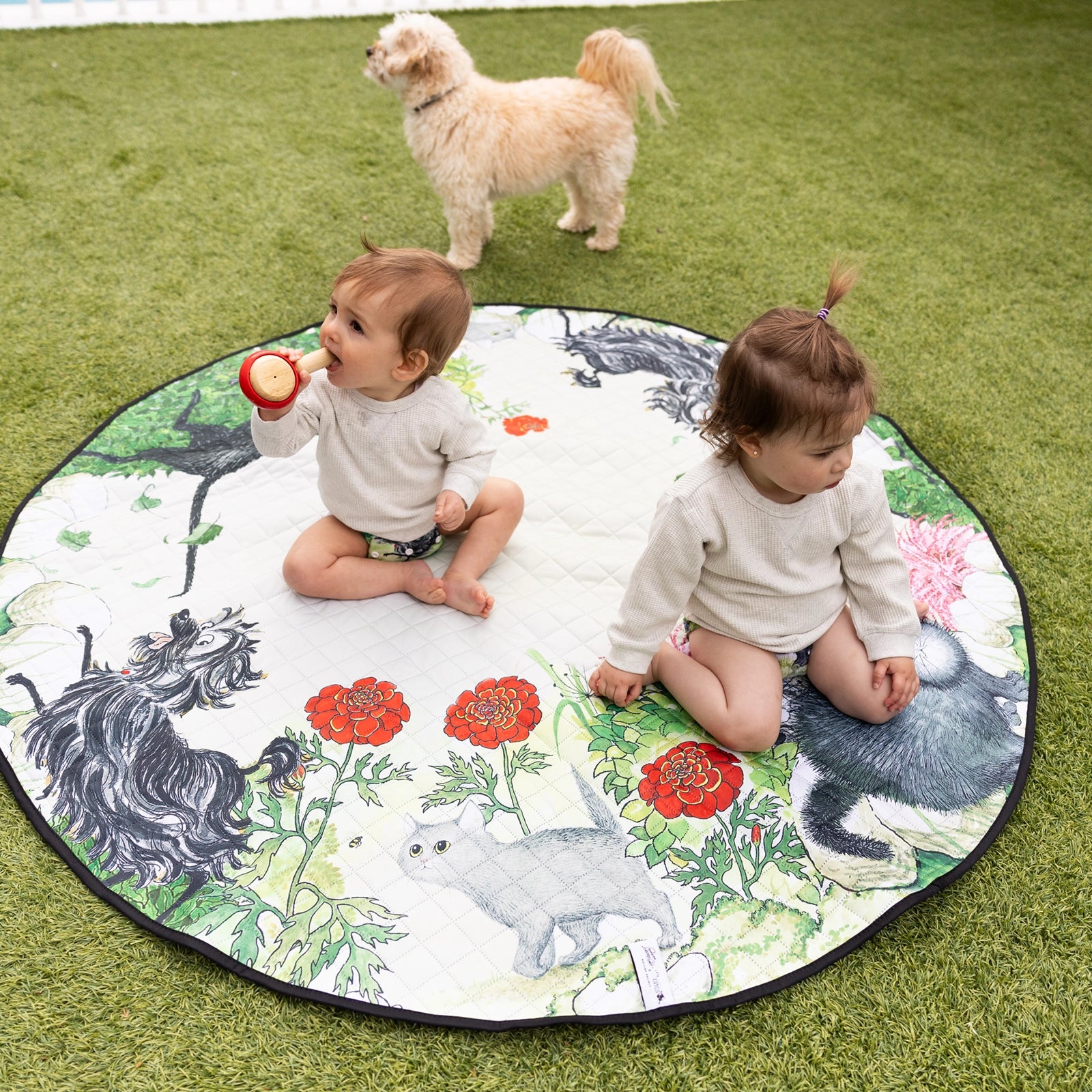 Clatter of Claws Play Mat Large