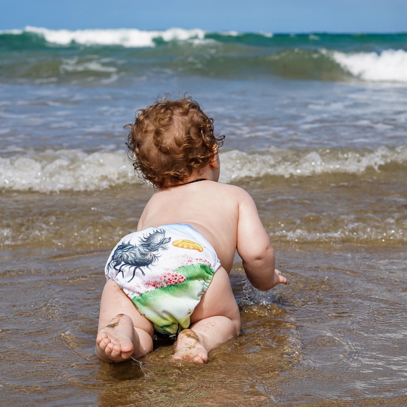 Hairy Maclary Swim Nappy