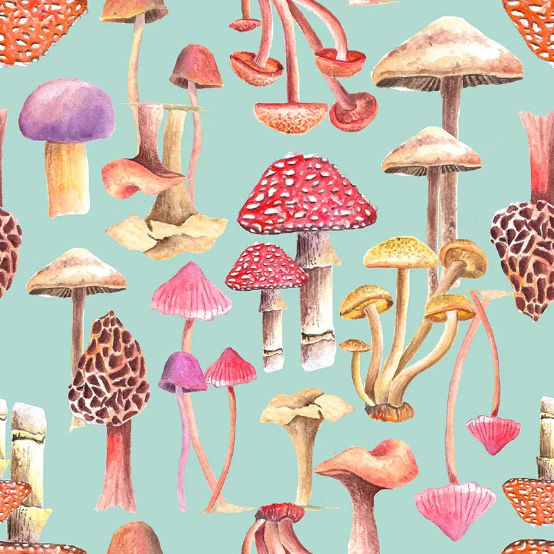 Mushroom Magic Baby Bassinet Blanket
